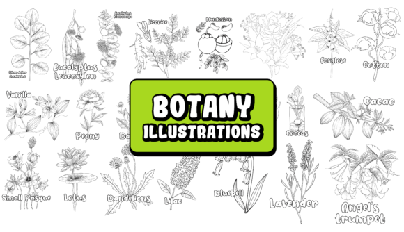 Authentic Botanical Art: The Hand Drawn Collection