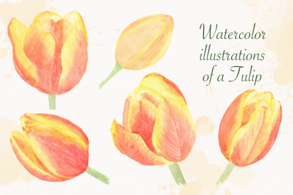 Brighten Your Projects with Yellow Tulip Watercolor Art