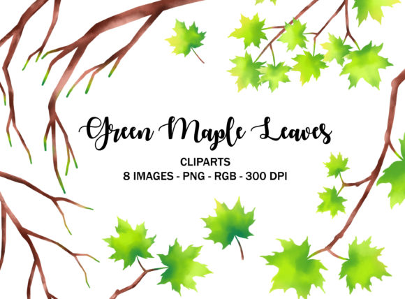 Bringing the Outdoors In: Green Maple Leaves Tree Illustrations