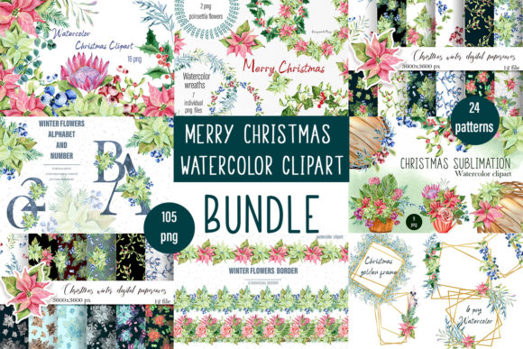 Enchanting Christmas Botanical Illustrations for Timeless Design