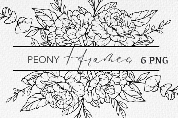 Floral Line Art: The Elegance of Peony Line Drawing