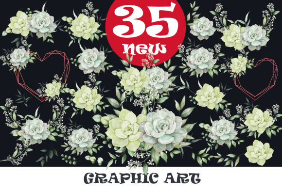 House Plants Illustrations Art Patterns: Vibrant Design Assets