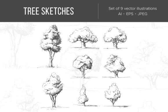Tree Sketches, Vector Illustrations: A Designer's Go-To Asset