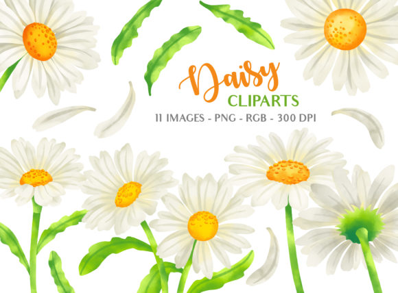 Unleashing Creativity with Daisy Flower Clipart Illustrations