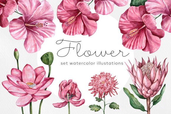 Watercolor Illustrations Flower Set: A Designer's Go-To Botanical Collection
